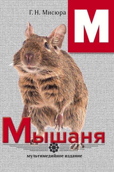 Мышаня  - обложка