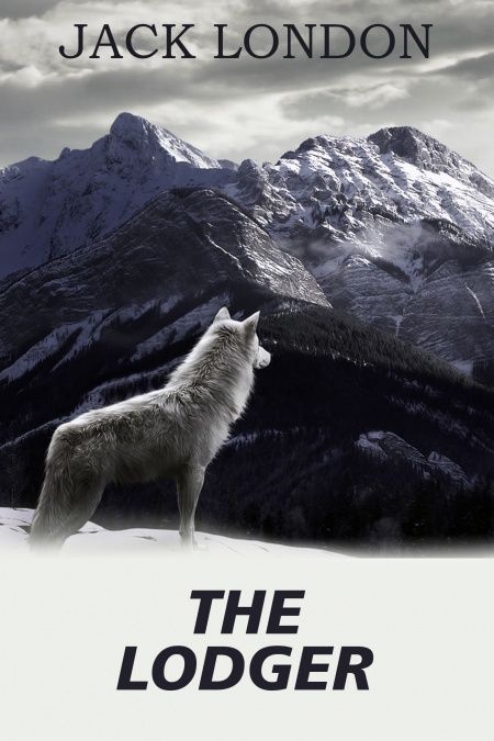 The Lodger  - обложка