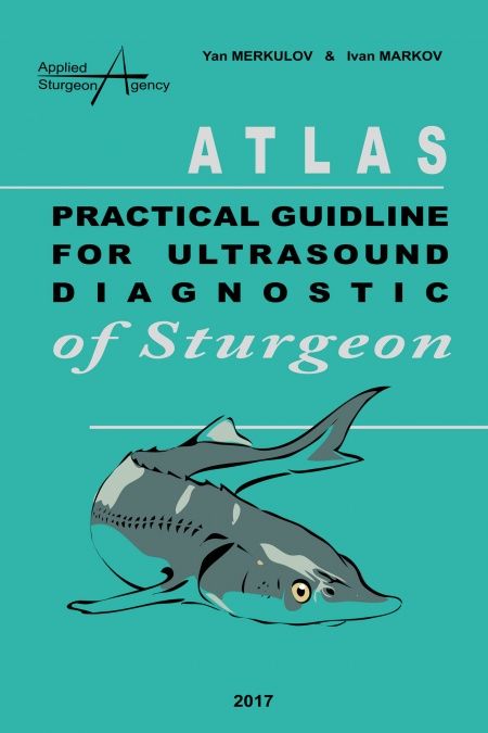 Practical guideline for ultrasound diagnostic of sturgeon  - обложка