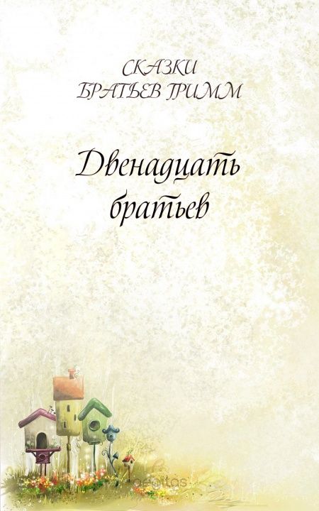 Двенадцать братьев  - обложка