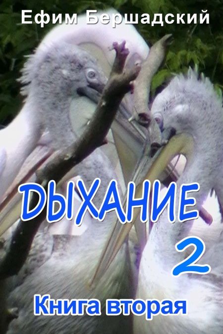 Дыхание  - обложка
