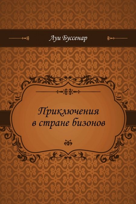 Приключения в стране бизонов  - обложка