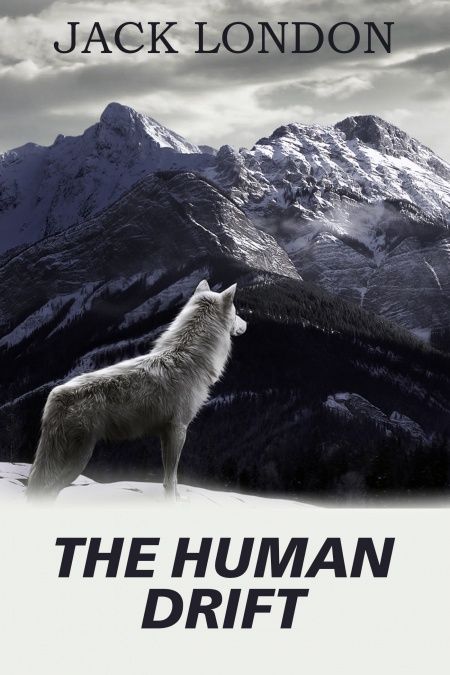 The Human Drift  - обложка