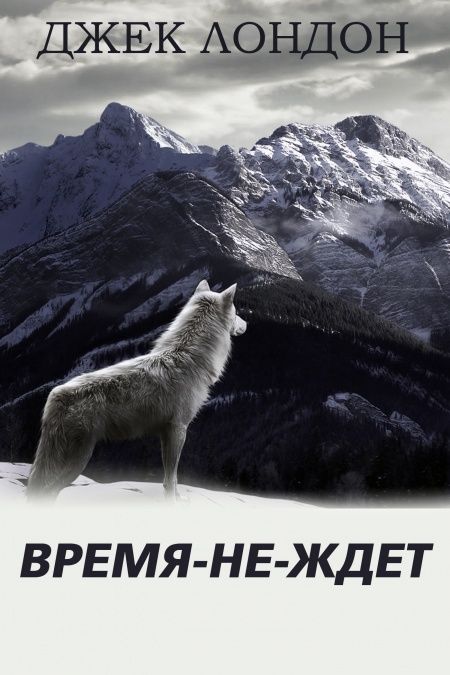 Время-не-ждет  - обложка