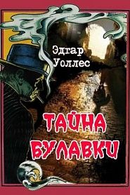 Тайна булавки - обложка