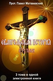 Евангельская история - обложка