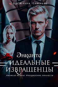 Идеальные извращенцы - обложка