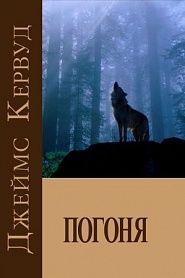 Погоня - обложка