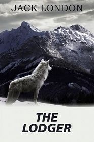 The Lodger - обложка