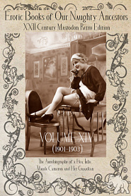 Erotic Books of Our Naughty Ancestors vol.14 - обложка