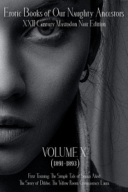 Erotic Books of Our Naughty Ancestors vol.10 - обложка