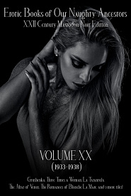 Erotic Books of Our Naughty Ancestors vol.20 - обложка