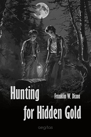 Hunting for Hidden Gold - обложка