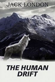 The Human Drift - обложка