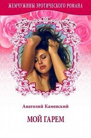 Мой гарем - обложка