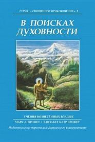В поисках духовности - обложка