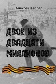 Двое из двадцати миллионов - обложка