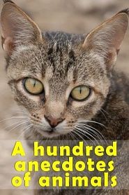 Anecdotes of Animals - обложка