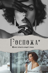 Госпожа без опыта ищет раба - обложка